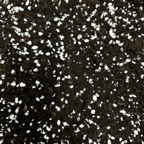 Close-up of Highland Moss General Houseplants Mix – organic potting soil with visible natural worm castings and airy texture
