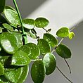 IMG_1580