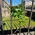 IMG_1654