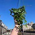 IMG_1655
