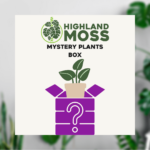 Mystery Plants Box