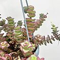 IMG_0801