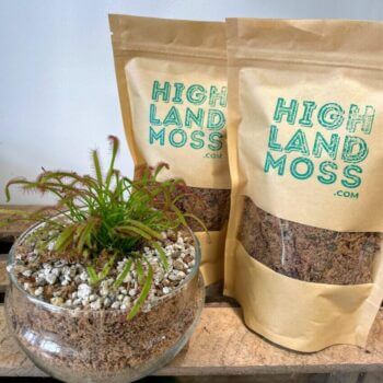 Carnivorous Plants Potting Mix by Highland Moss 1.5L Plant Care Carnivorous Carnivorous Plants Potting Mix by Highland Moss 1.5L Plant Care Carnivorous
