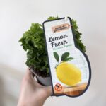 Fresh Curly Leaves Lemon Scented Geranium in 12cm pot