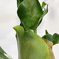 IMG_6330