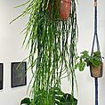 IMG_7360