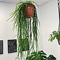 IMG_7361