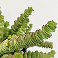 IMG_9027