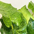 IMG_9049
