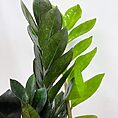IMG_9051