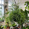 IMG_9085