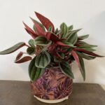 Purple Jungle Planter 7cm