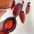 IMG_8341