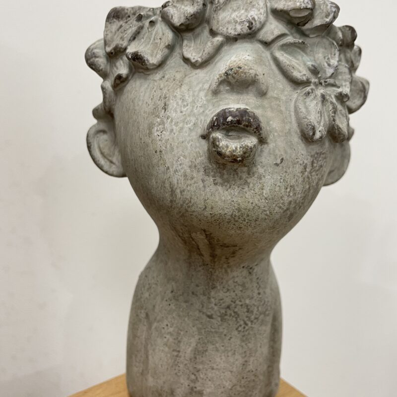 alocasia dragon scale elephant ear plant large 19cm pot alocasia dragon scale elephant ear plant large 19cm pot