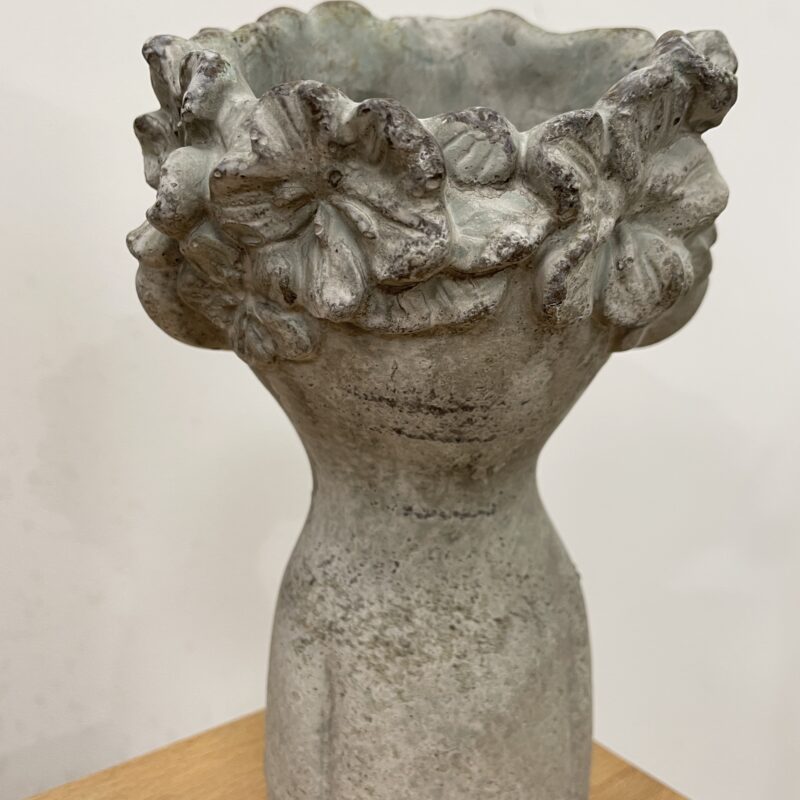 alocasia dragon scale elephant ear plant large 19cm pot alocasia dragon scale elephant ear plant large 19cm pot