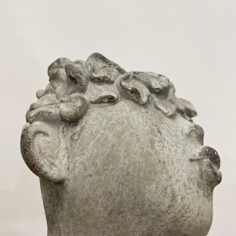 alocasia dragon scale elephant ear plant large 19cm pot alocasia dragon scale elephant ear plant large 19cm pot