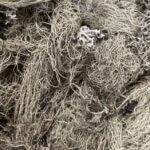 Dried Hair Moss 10g