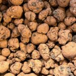 Leca Clay Pebbles Hydro Balls Medium Grade