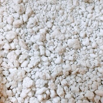 Close-up of perlite, a lightweight, white, volcanic rock used in gardening to improve soil aeration and drainage.