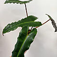 IMG_9941