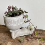 Lazy Day Grey Planter 6cm