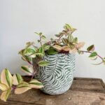 Leaves Planter for 9cm Pot