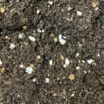 Cactus and Succulent Potting Soil