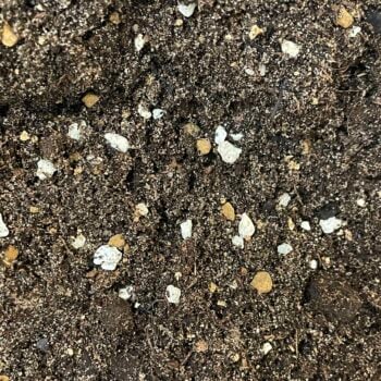 Cactus and Succulent Potting Soil