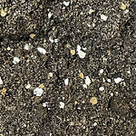 Cactus and Succulent Potting Soil