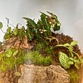 IMG_1636
