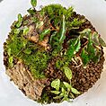 IMG_1637
