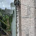 IMG_2433