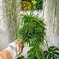 IMG_2656-EDIT