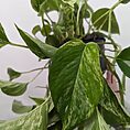PXL_20220826_165417904