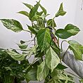 PXL_20220826_165457457