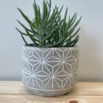 Grey Geometric Planter for 9cm pots