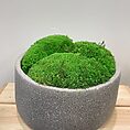 IMG_3764