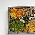 IMG_4046