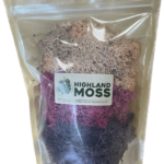 Preserved Reindeer Moss Themed Colour Sets AUTUMN