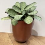 Modern Metal Copper Planter for 17-17.5cm pots