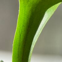 IMG_5956