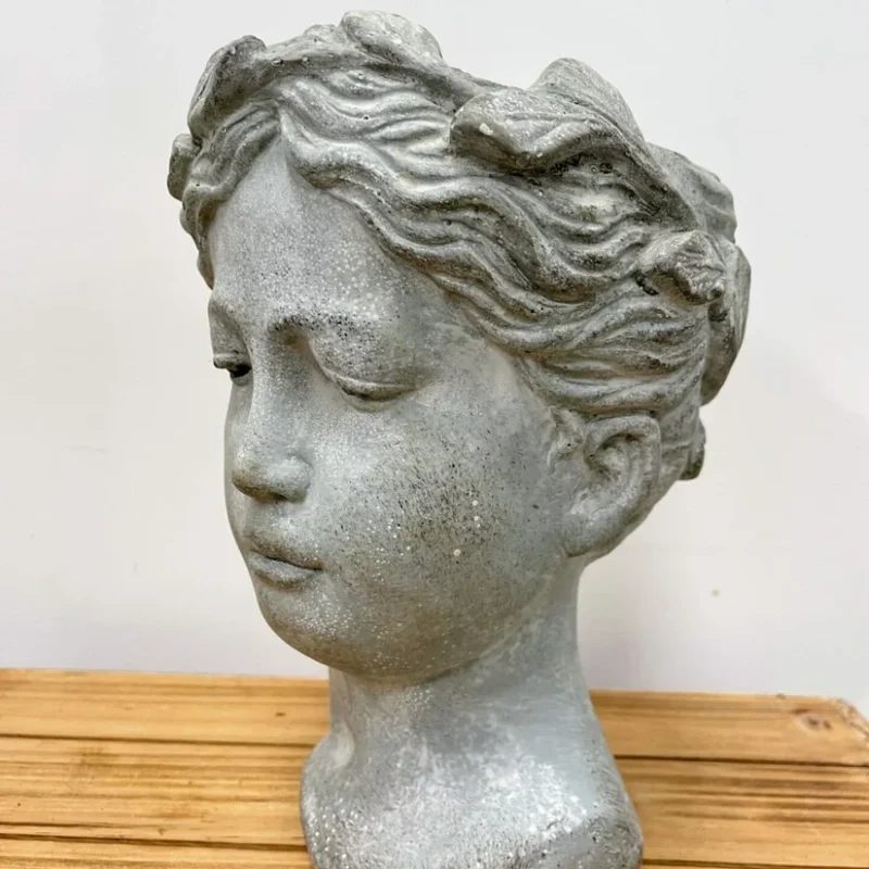 senecio peregrinus string of dolphins 12cm pot senecio peregrinus string of dolphins 12cm pot