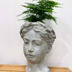 Concrete Ancient Lady Head Planter