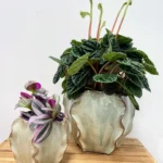 Seafoam Green Ceramic Glazed Planter Waves