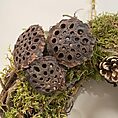 handmade moss rustic door & wall wreath farmhouse