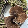 handmade moss rustic door & wall wreath farmhouse