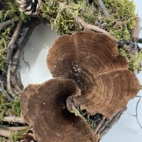 handmade moss rustic door & wall wreath farmhouse
