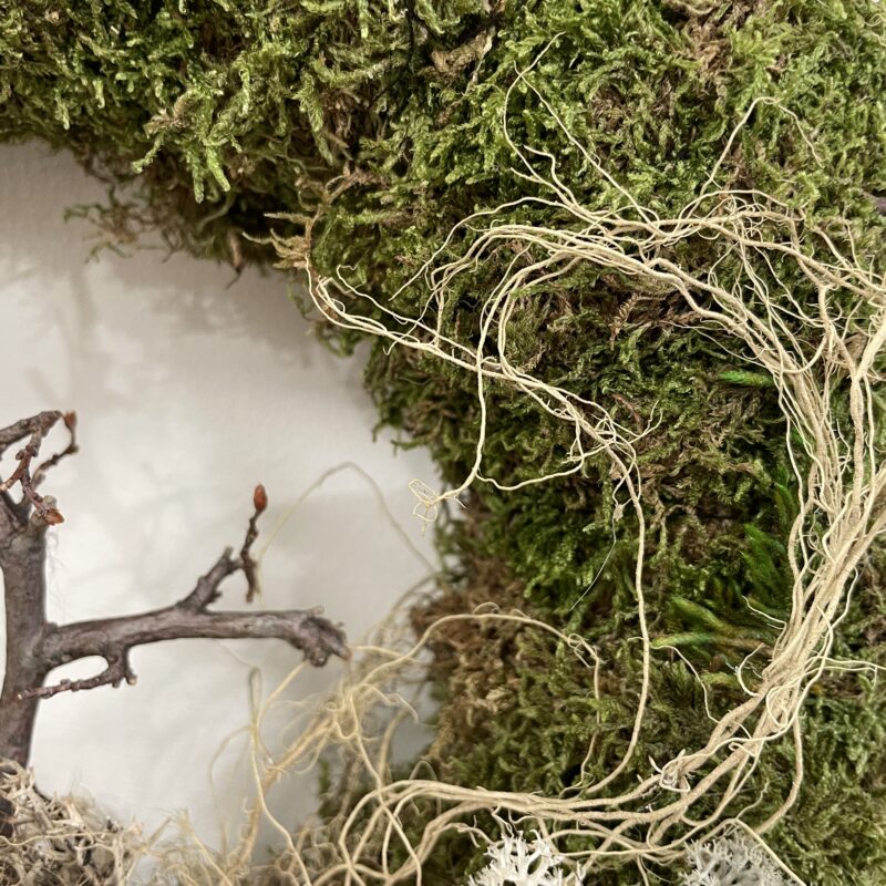 natural scottish raw forest honey by carnie bees 450g natural scottish raw forest honey by carnie bees 450g