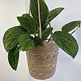 rustic seafoam medium hanging macrame basket for 15cm pot