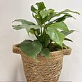 rustic seaweed small basket for 11cm pot